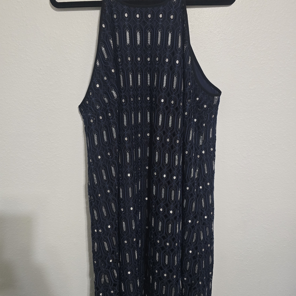 LOFT Midnight Blue Lace Dress